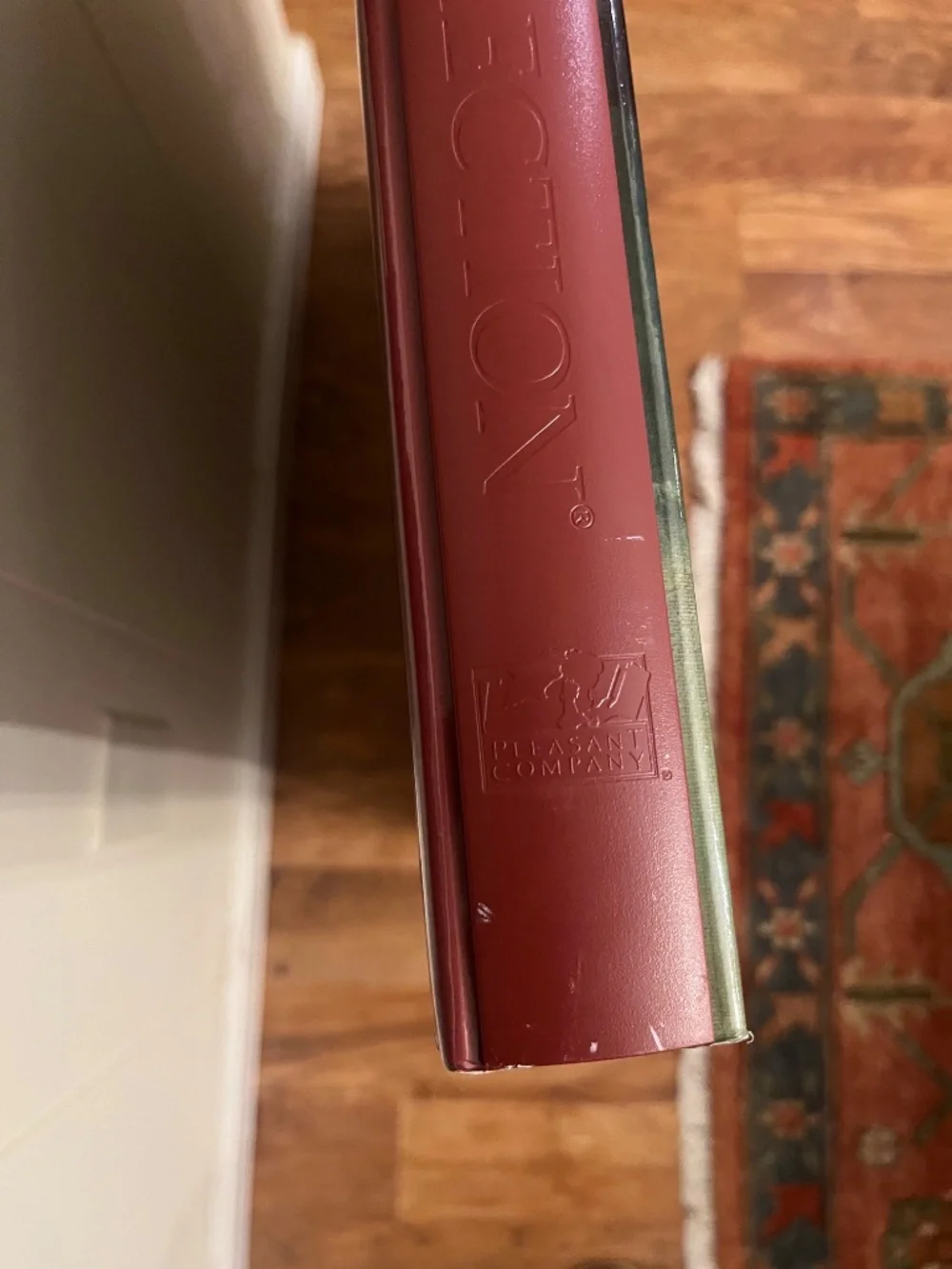 American Girl Samantha Parkington Scenes & Settings 1904 Backdrop Book 30